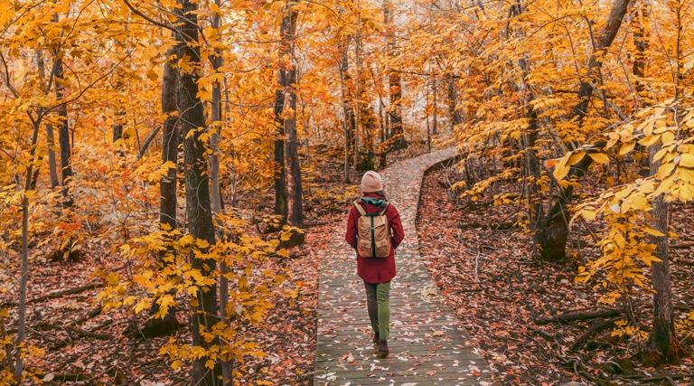 Célébrations hivernales

L’ambiance festive qui réchauffe les cœurs
Le Carnaval de Québec transforme le froid en allégresse avec ses défilés nocturnes et ses sculptures sur glace. En été, les places publiques vibrent au rythme du Festival de Jazz ou des spectacles d’humour en plein air. Ces rassemblements populaires témoignent de la joie de vivre locale, invitant les visiteurs à partager des moments de convivialité uniques, quelle que soit la température extérieure.